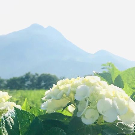 由布院花之家酒店 由布市 外观 照片